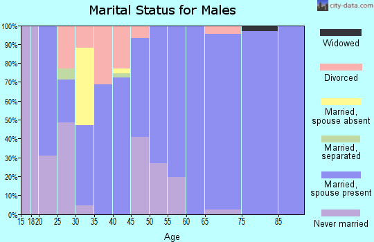 Zip code 46785 marital status for males