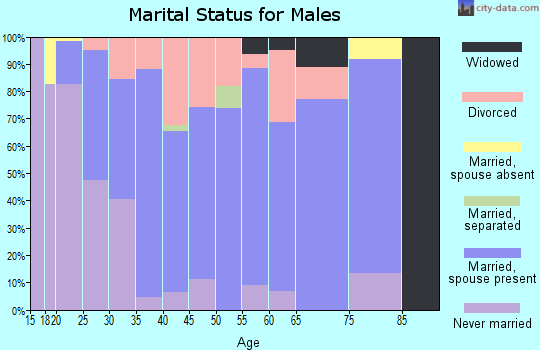 Zip code 46793 marital status for males