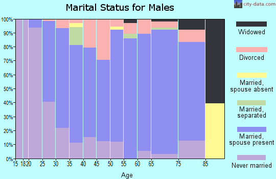 Zip code 46795 marital status for males