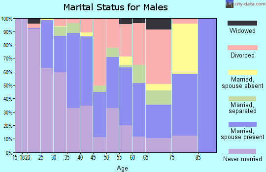 Zip code 46803 marital status for males