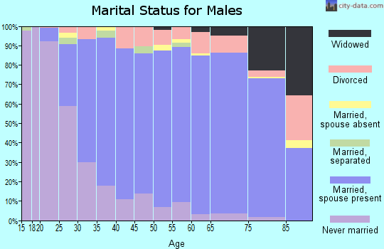 Zip code 46804 marital status for males