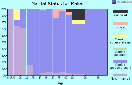Zip code 46814 marital status for males