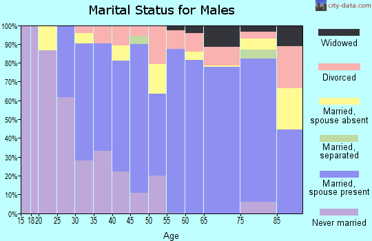 Zip code 46819 marital status for males
