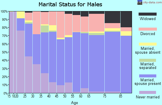 Zip code 46901 marital status for males