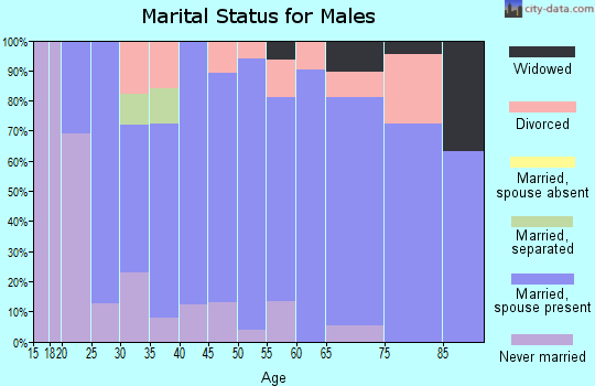 Zip code 46910 marital status for males