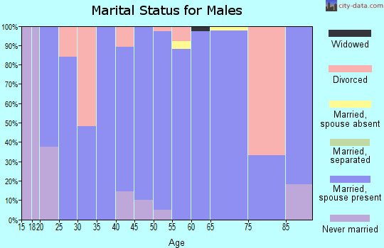 Zip code 46911 marital status for males