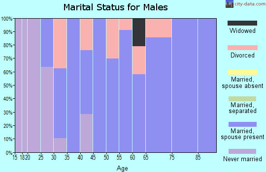 Zip code 46913 marital status for males