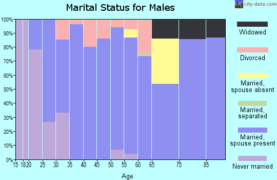 Zip code 46914 marital status for males