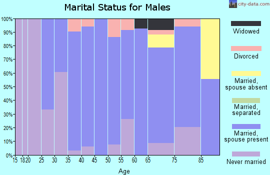 Zip code 46917 marital status for males