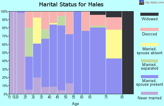 Zip code 46919 marital status for males