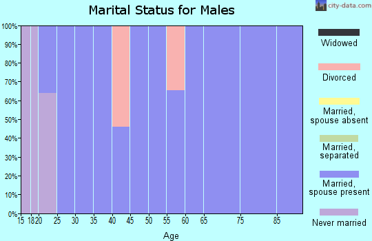 Zip code 46920 marital status for males