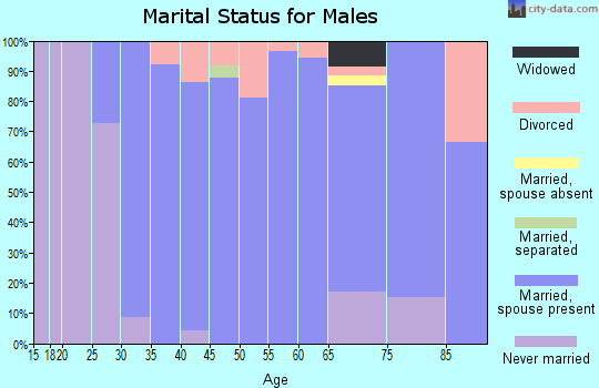 Zip code 46929 marital status for males