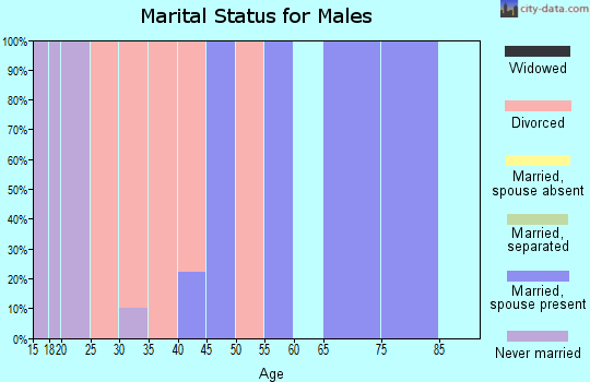 Zip code 46931 marital status for males