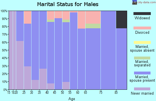 Zip code 46932 marital status for males