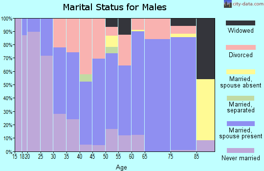 Zip code 46933 marital status for males