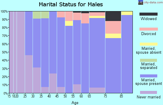 Zip code 46936 marital status for males