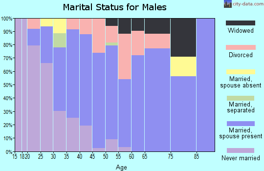 Zip code 46938 marital status for males