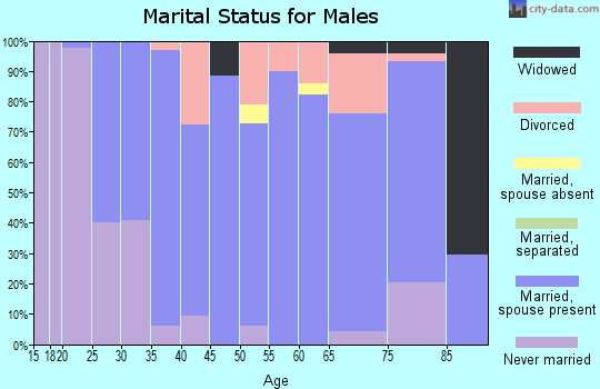 Zip code 46939 marital status for males