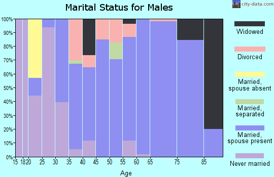 Zip code 46940 marital status for males