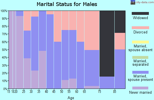 Zip code 46941 marital status for males