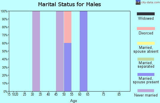 Zip code 46943 marital status for males