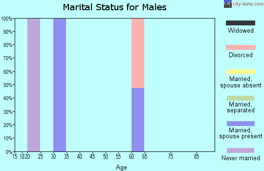 Zip code 46946 marital status for males