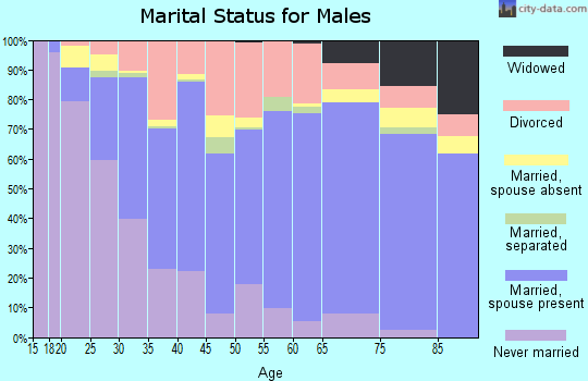 Zip code 46947 marital status for males