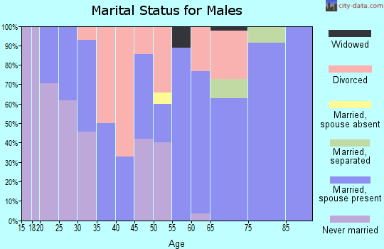 Zip code 46951 marital status for males