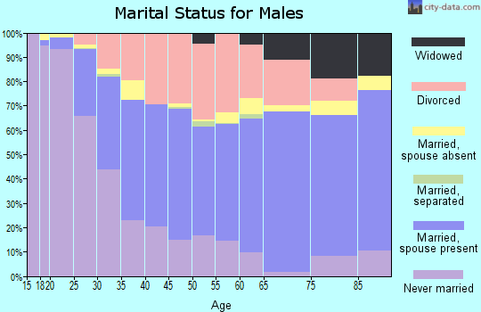 Zip code 46953 marital status for males