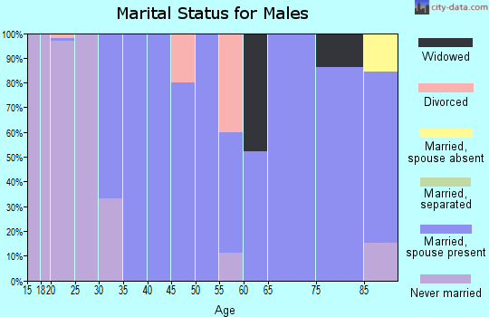 Zip code 46960 marital status for males