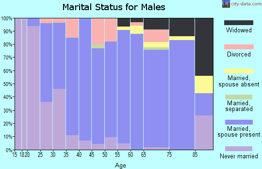 Zip code 46962 marital status for males