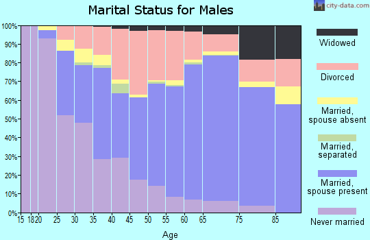 Zip code 46970 marital status for males