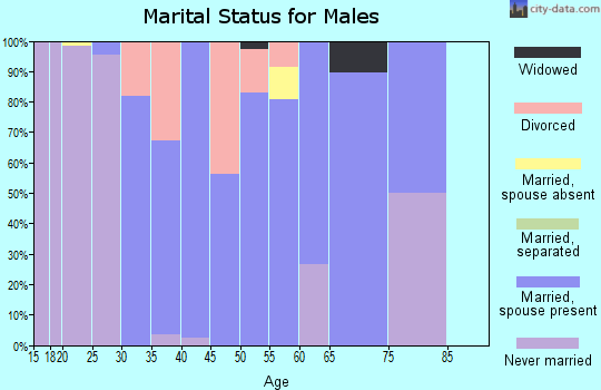 Zip code 46974 marital status for males