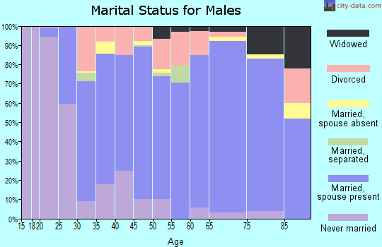 Zip code 46975 marital status for males