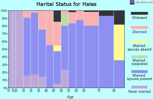Zip code 46982 marital status for males