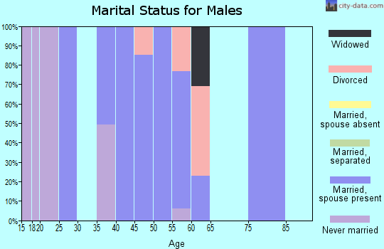 Zip code 46985 marital status for males