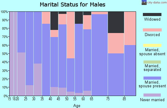 Zip code 46986 marital status for males