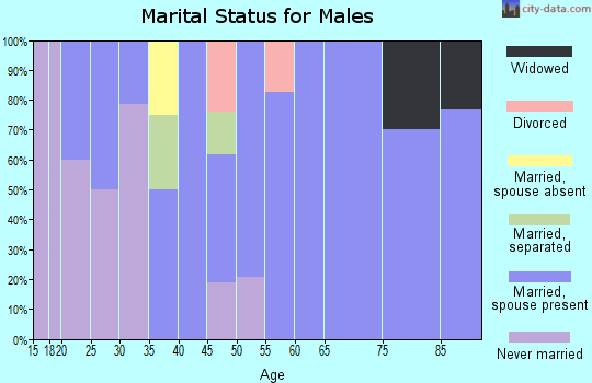 Zip code 46987 marital status for males