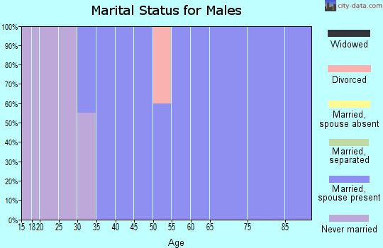 Zip code 46990 marital status for males
