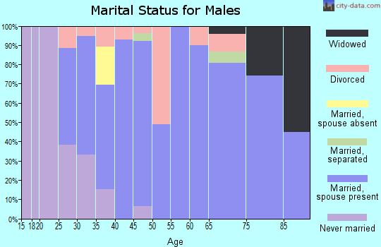 Zip code 46991 marital status for males