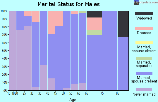 Zip code 46994 marital status for males