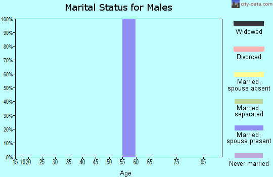 Zip code 46998 marital status for males