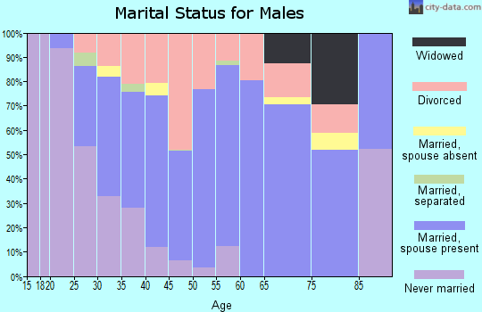 Zip code 47001 marital status for males