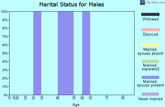 Zip code 47019 marital status for males