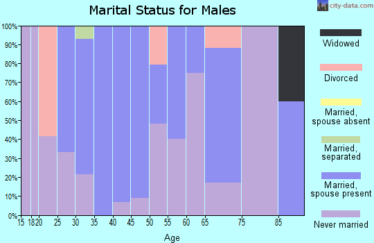 Zip code 47036 marital status for males