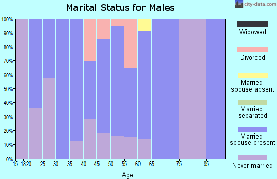 Zip code 47038 marital status for males