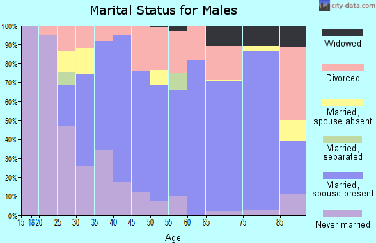 Zip code 47040 marital status for males