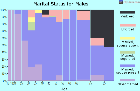 Zip code 47041 marital status for males