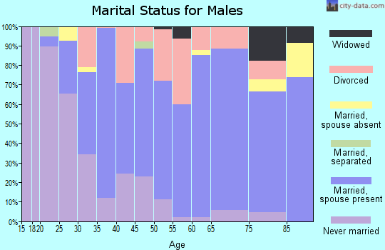 Zip code 47043 marital status for males