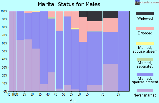 Zip code 47060 marital status for males